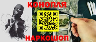 гидра Заводоуковск
