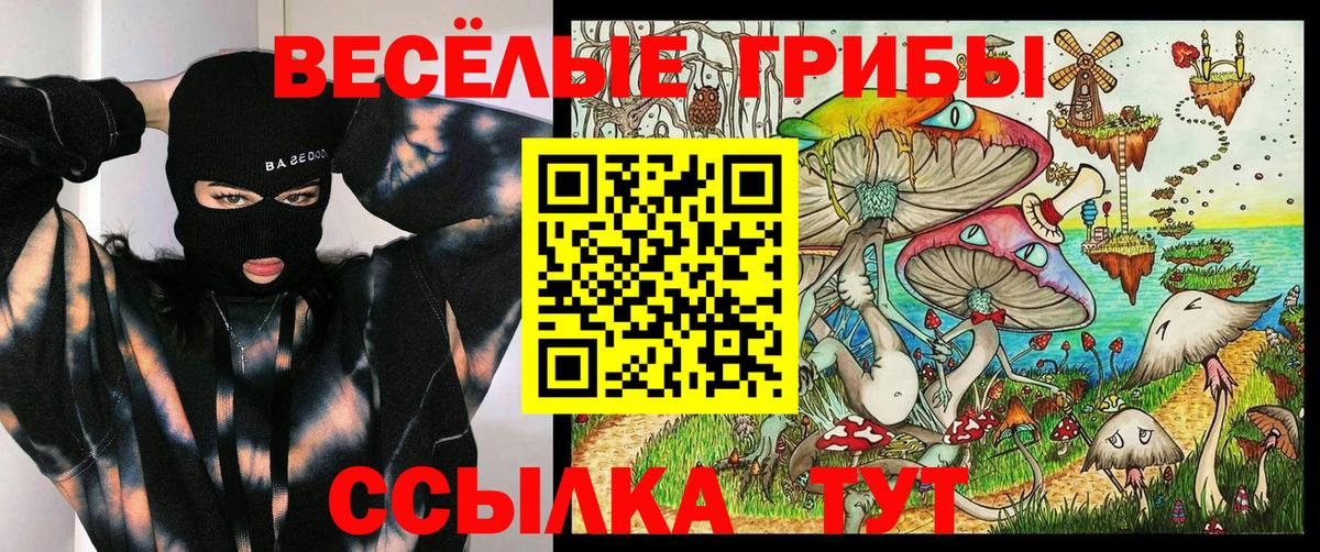 Псилоцибиновые грибы мицелий  Псилоцибиновые грибы Magic Shrooms  Вход с VPN  Киржач 
